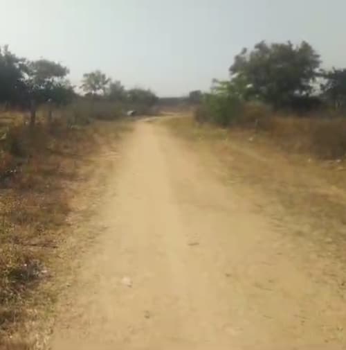 An image of land