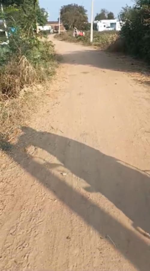 An image of land