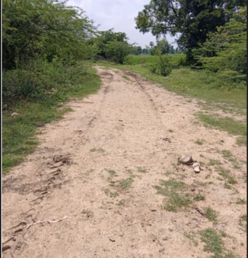 An image of land