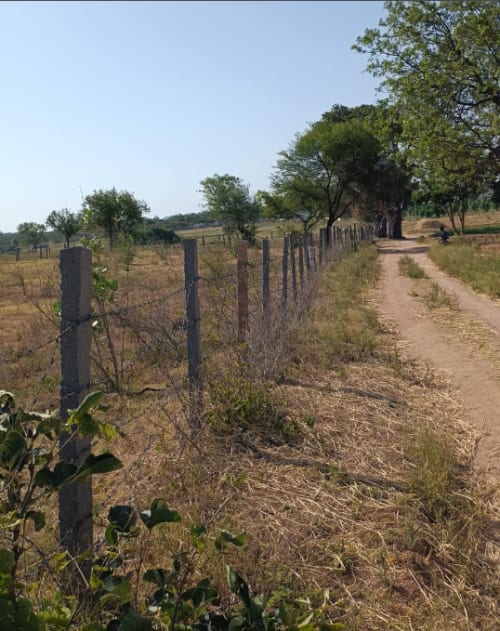 An image of land