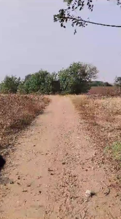 An image of land