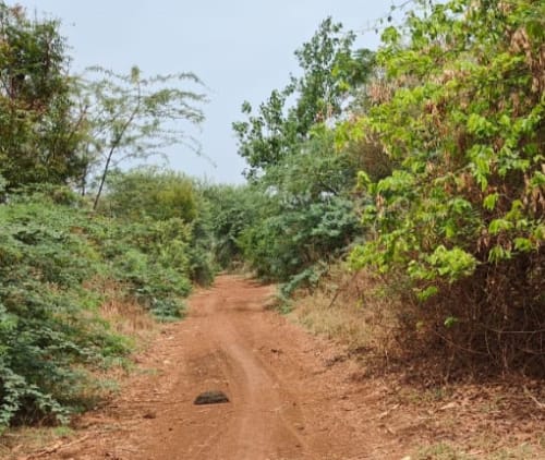 An image of land