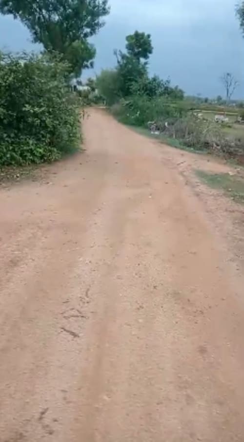 An image of land