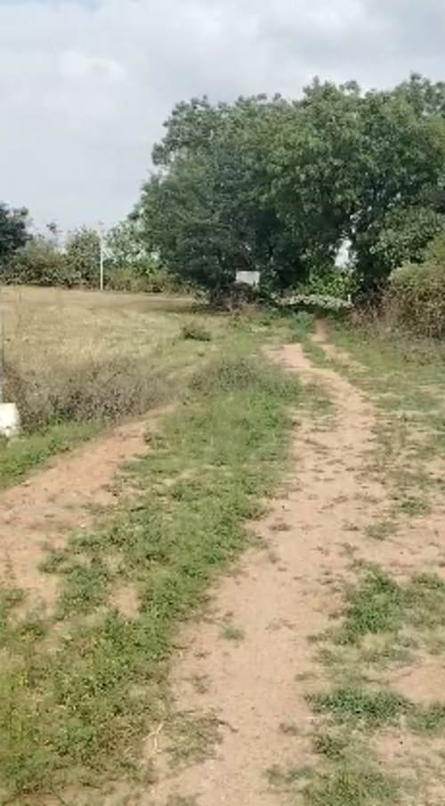 An image of land