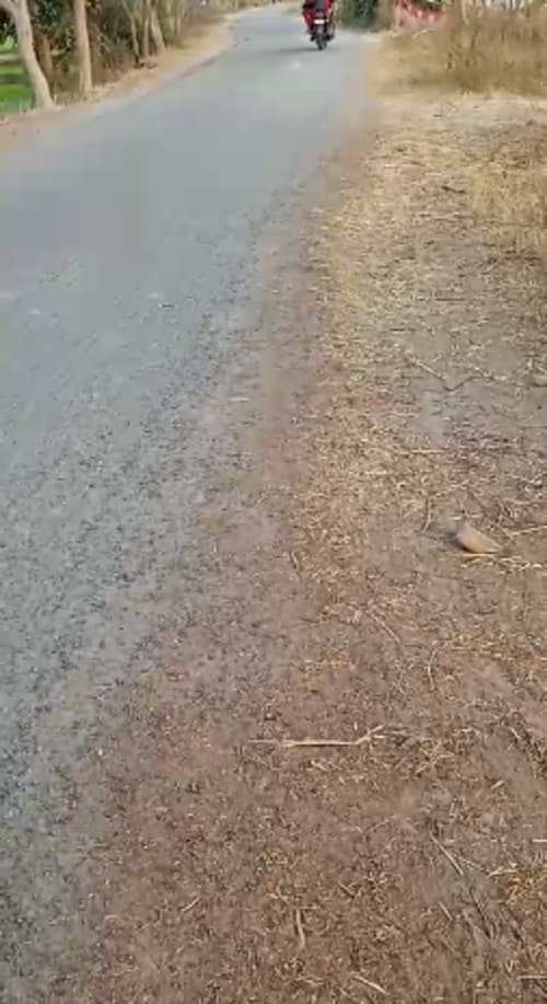 An image of land