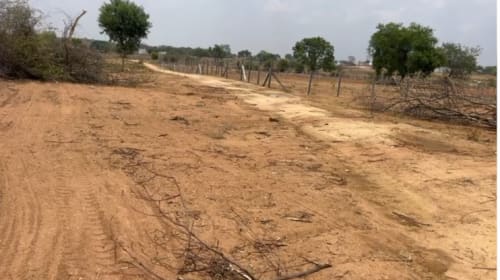 An image of land