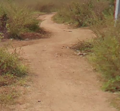 An image of land