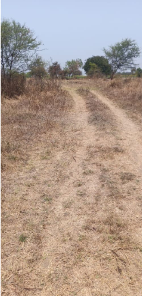 An image of land