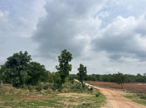 An image of land