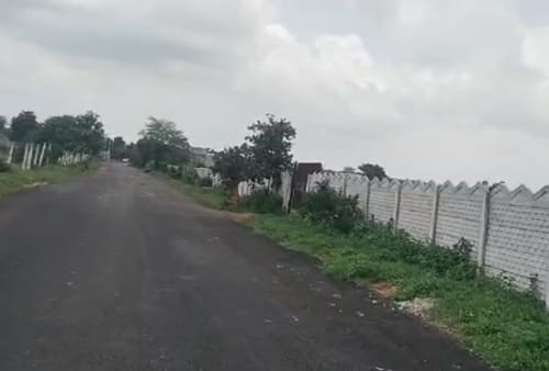 An image of land
