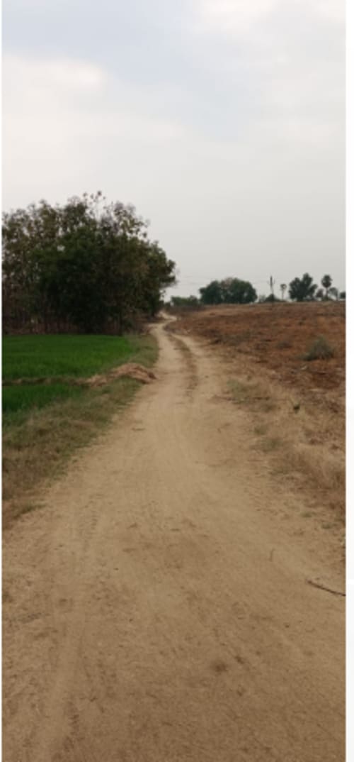 An image of land