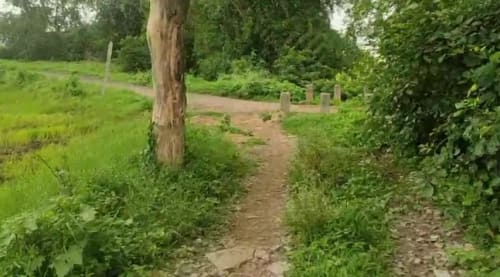 An image of land
