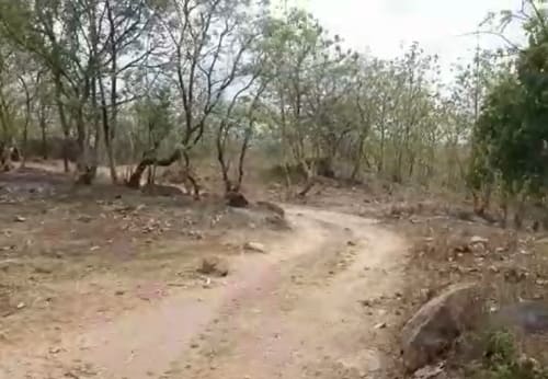 An image of land