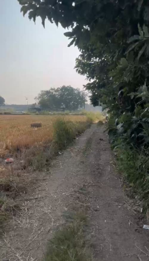 An image of land