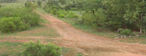 An image of land
