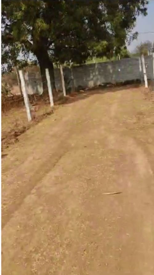An image of land