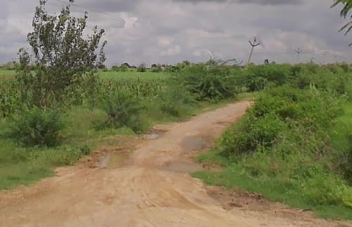 An image of land