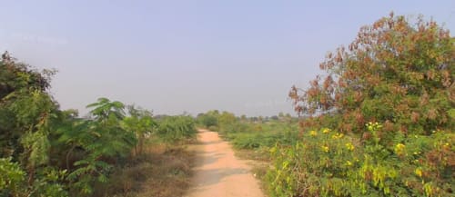 An image of land