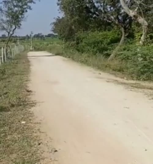 An image of land