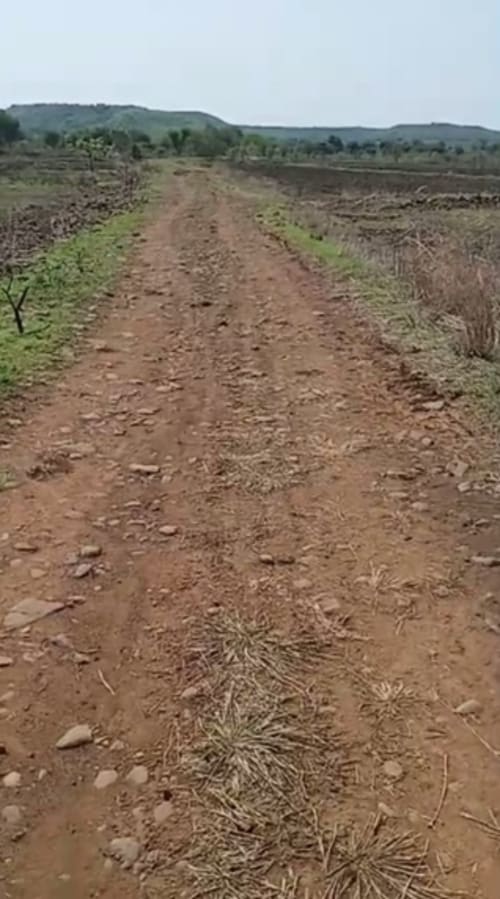 An image of land