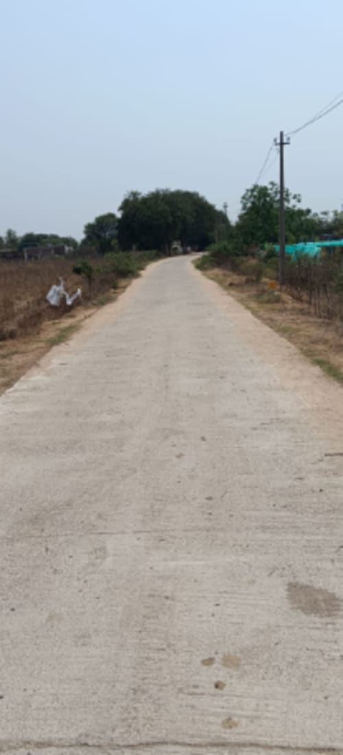 An image of land