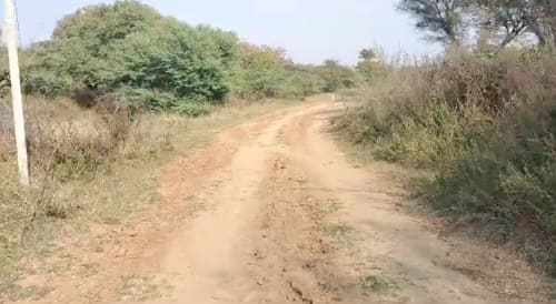 An image of land