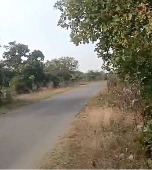An image of land