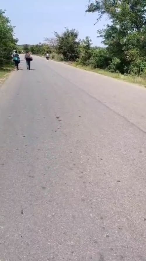 An image of land