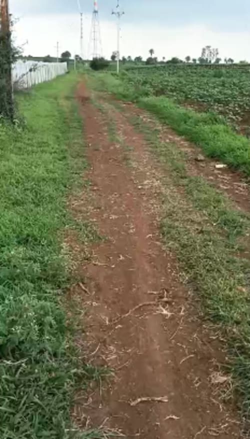 An image of land
