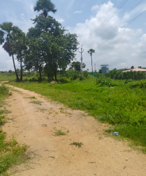 An image of land