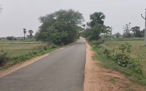 An image of land