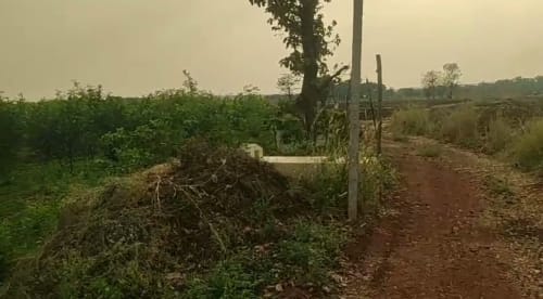 An image of land