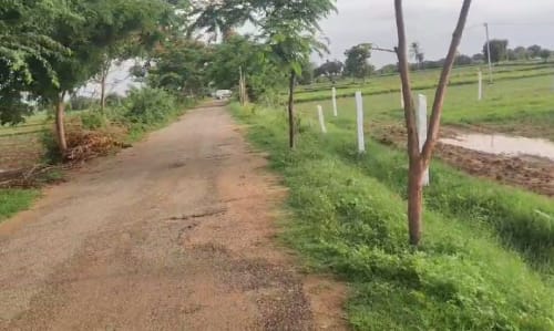 An image of land