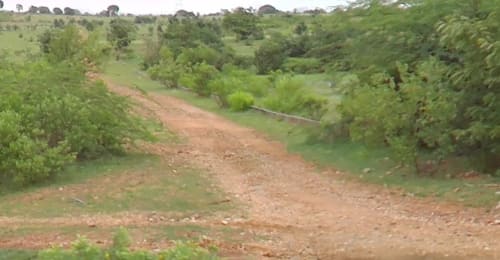 An image of land