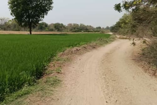 An image of land