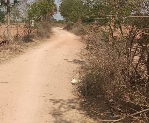 An image of land