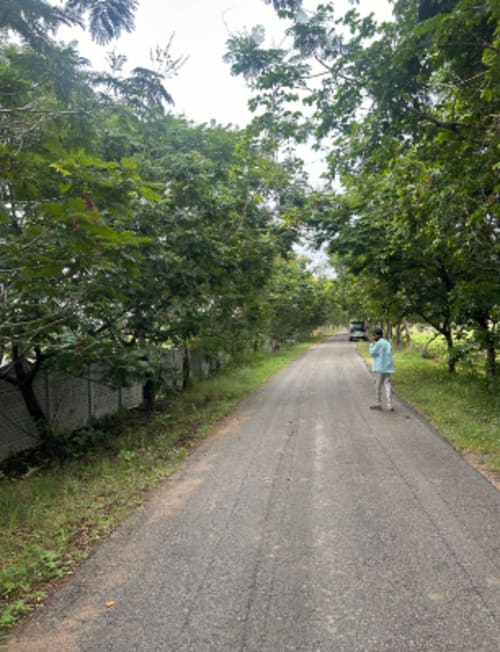 An image of land