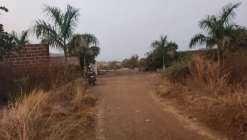 An image of land