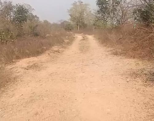 An image of land