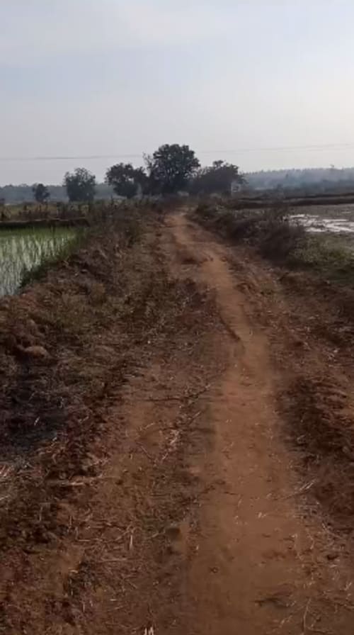 An image of land