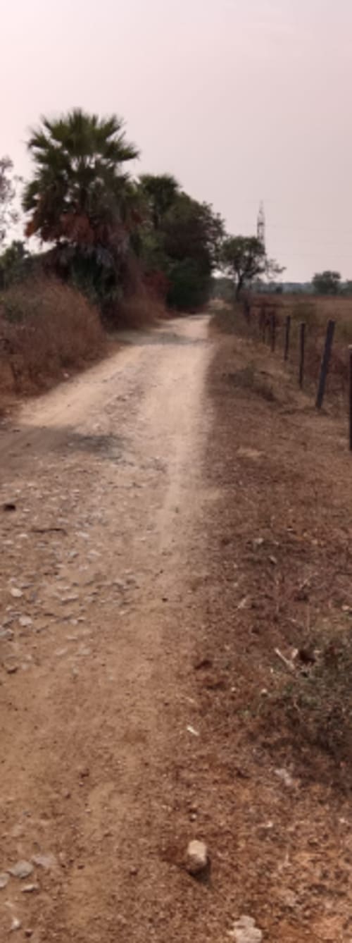 An image of land