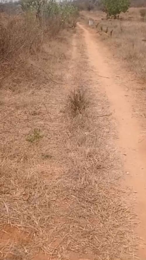 An image of land