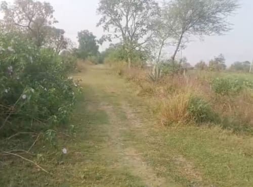 An image of land