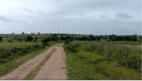 An image of land