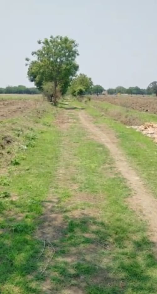 An image of land