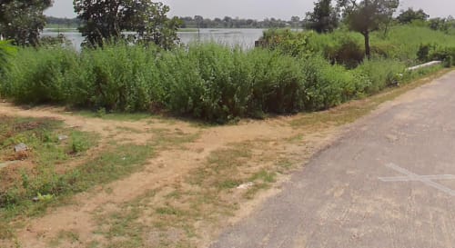 An image of land
