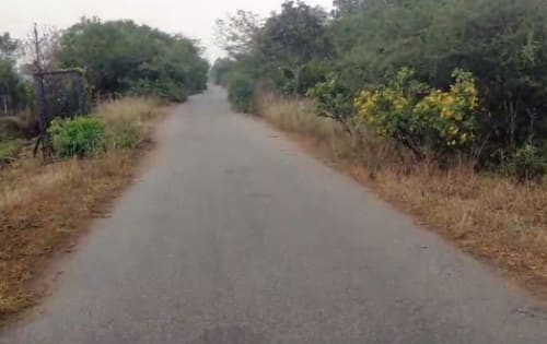 An image of land