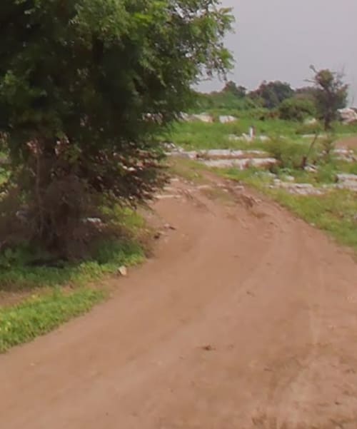 An image of land