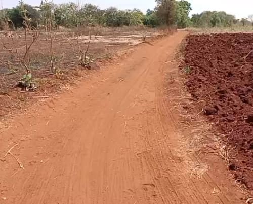 An image of land