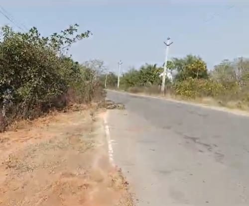 An image of land